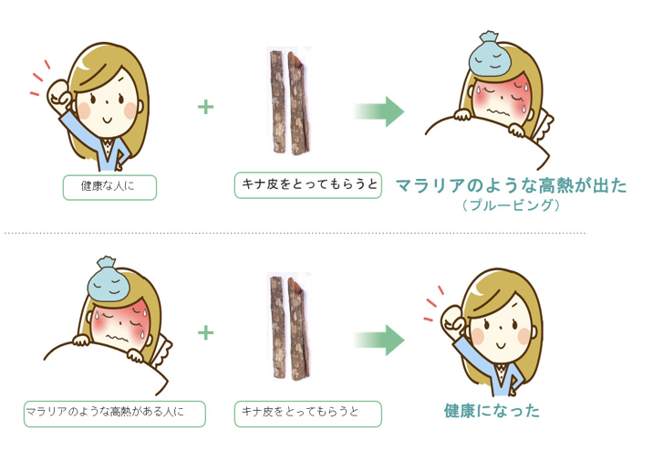 同種の法則 の発見 ホメオパシーってなぁに 3 ともさんちのホメオパシー ホメオパシーセンター新宿 ホメオパス八代朋子監修